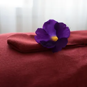 Villa East West, Hội An